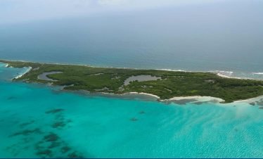 Contoy island