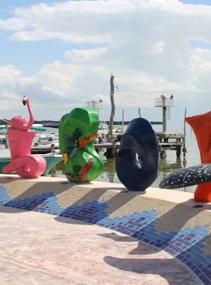 Holbox island tour from akumal