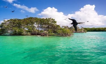 Holbox island tour