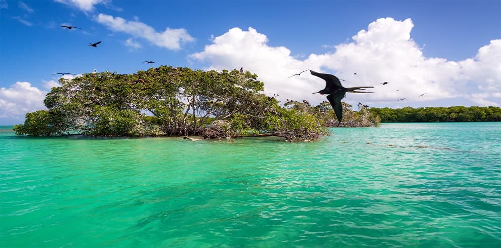 Holbox island tour