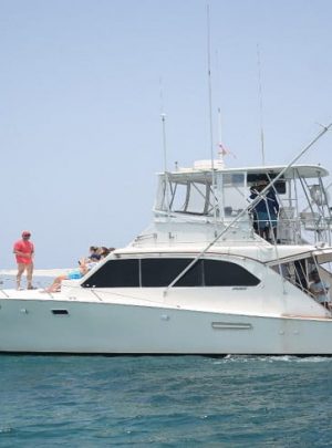 Deep sea fishing trips