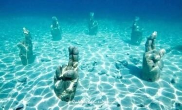 Snorkeling during the Isla Mujeres catamaran tour