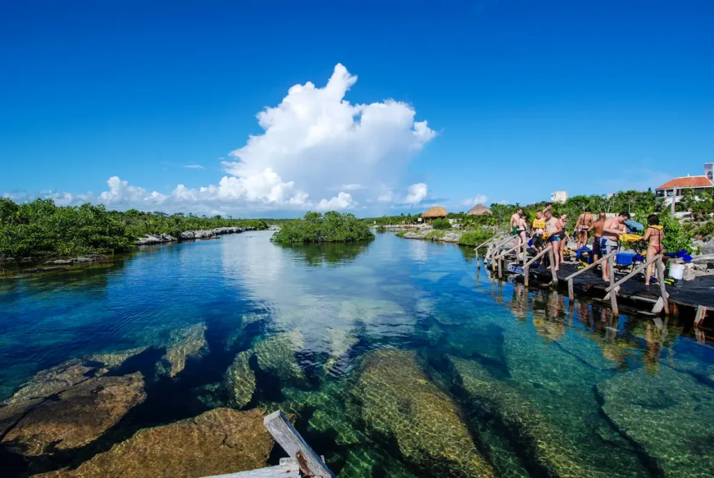 Guided cenote snorkeling tour