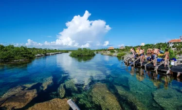 Guided cenote snorkeling tour