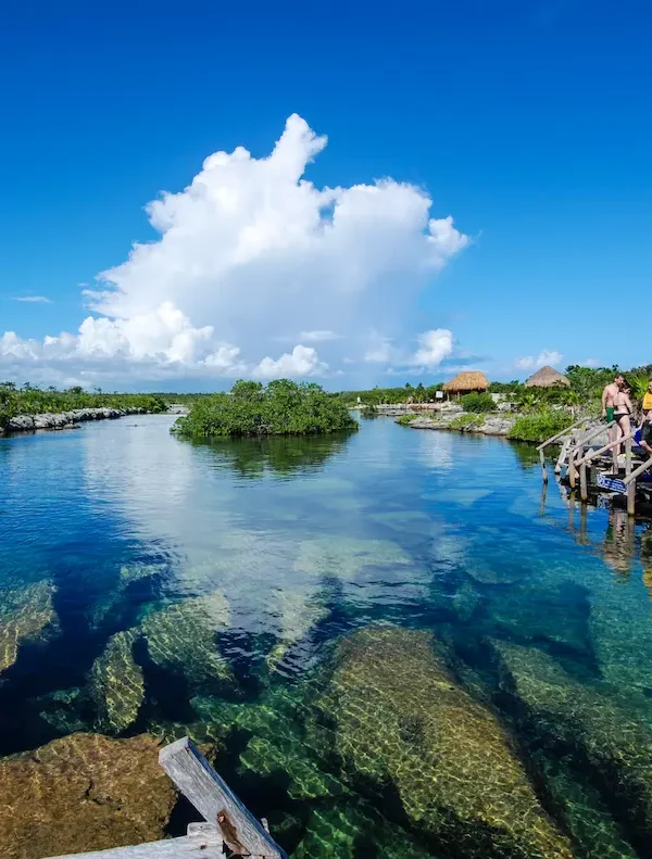 Guided cenote snorkeling tour