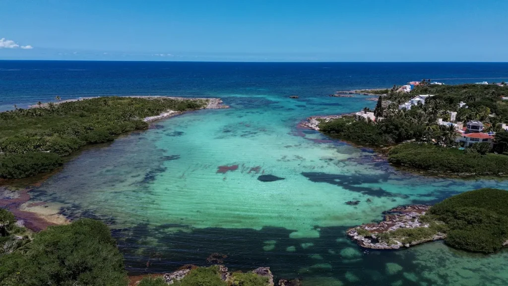 Lagoon & Cenote Snorkeling in Akumal
