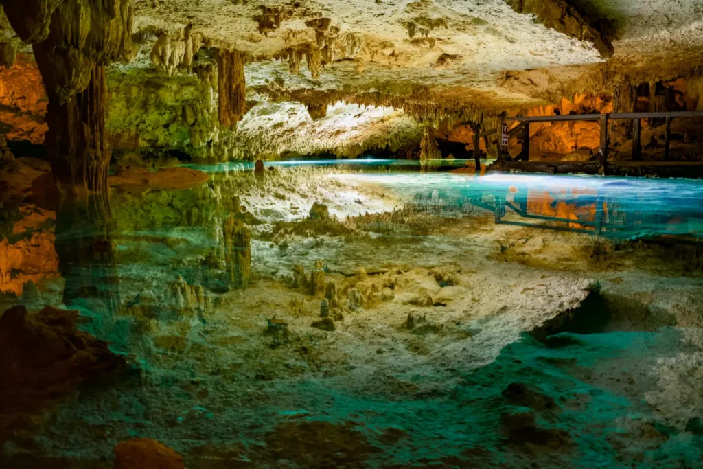 Cenote snorkeling experience