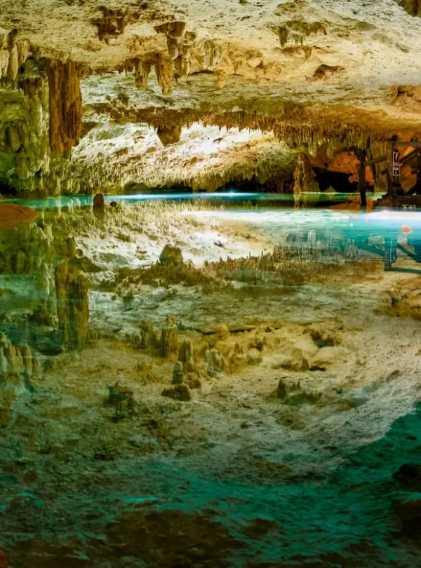 Cenote snorkeling experience